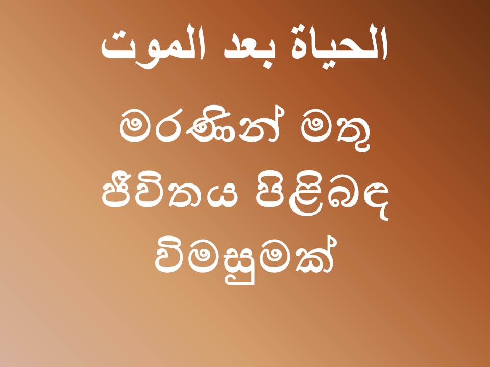 මරණින් මතු ජීවිතය පිළිබඳ විමසුමක්